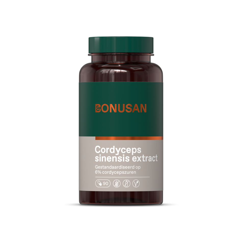 Cordyceps sinensis mycelium