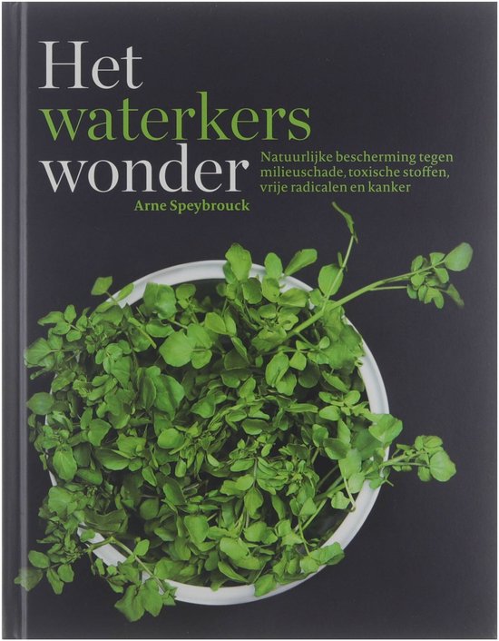 Het Waterkerswonder