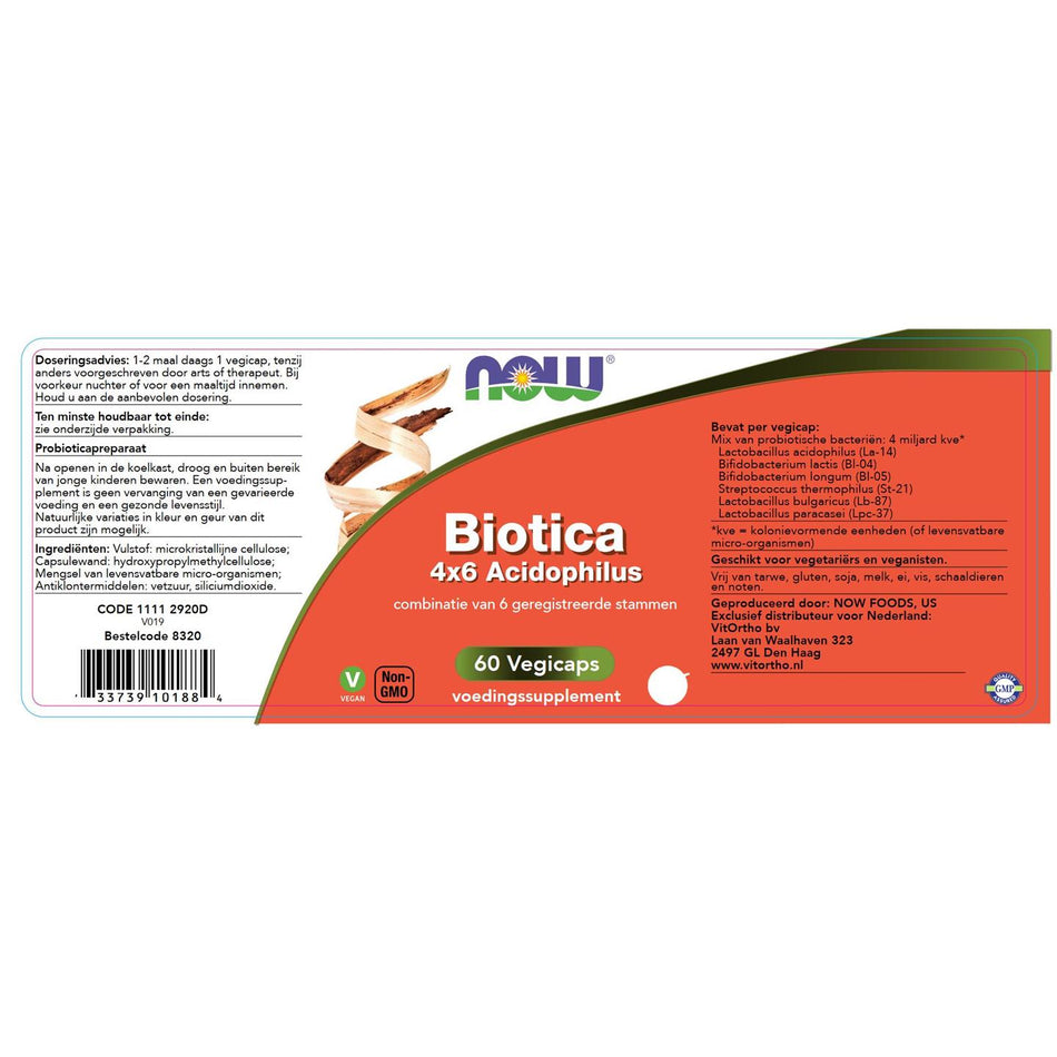 Biotica 4x6 acidophilus
