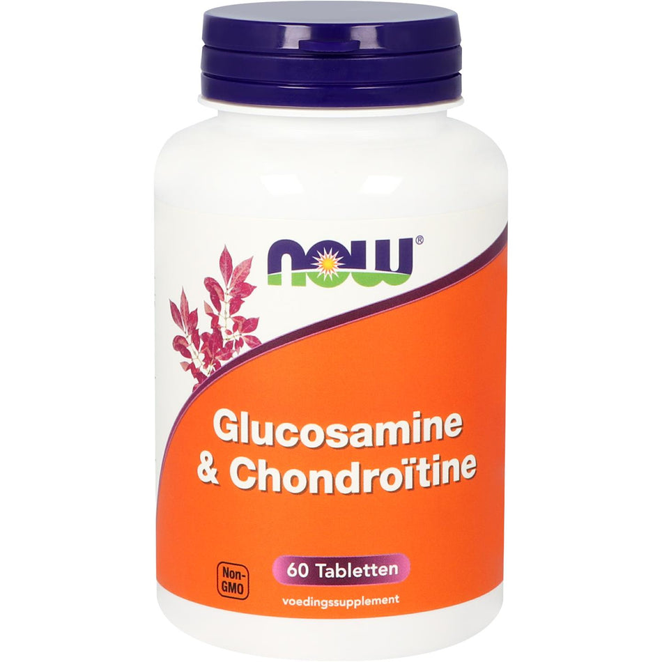 Glucosamin & Chondroitin