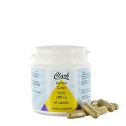 Ingwer/Sunthi 500 mg