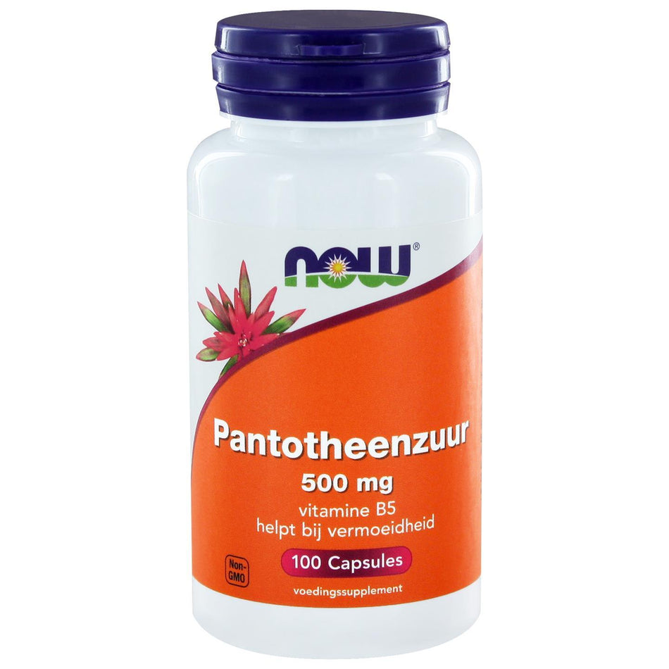 Pantotheenzuur 500 mg (B5)