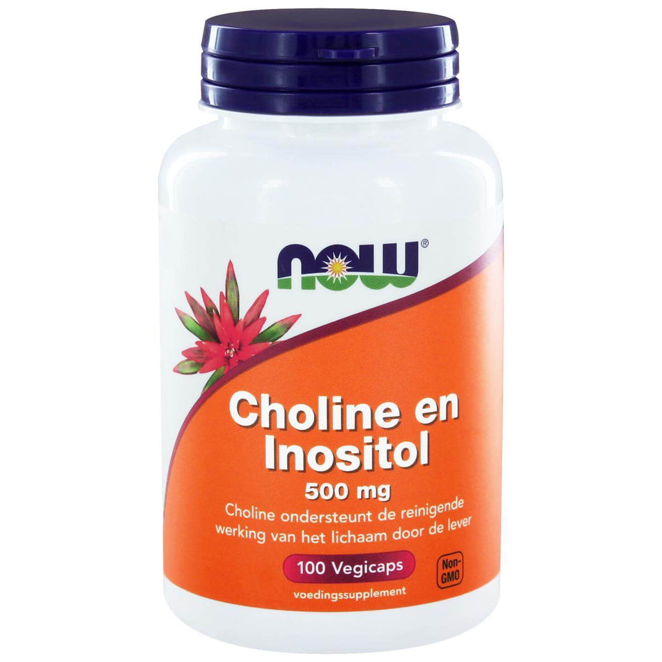 Cholin und Inositol 500 mg