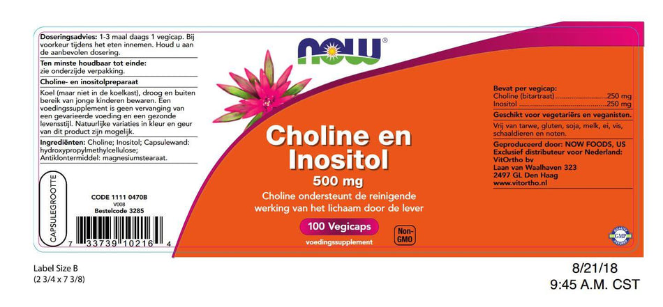 Cholin und Inositol 500 mg