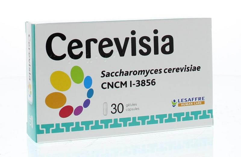 Cerevisia